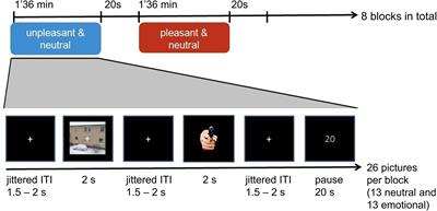 Oscillatory brain responses to emotional stimuli are effects related to events rather than states